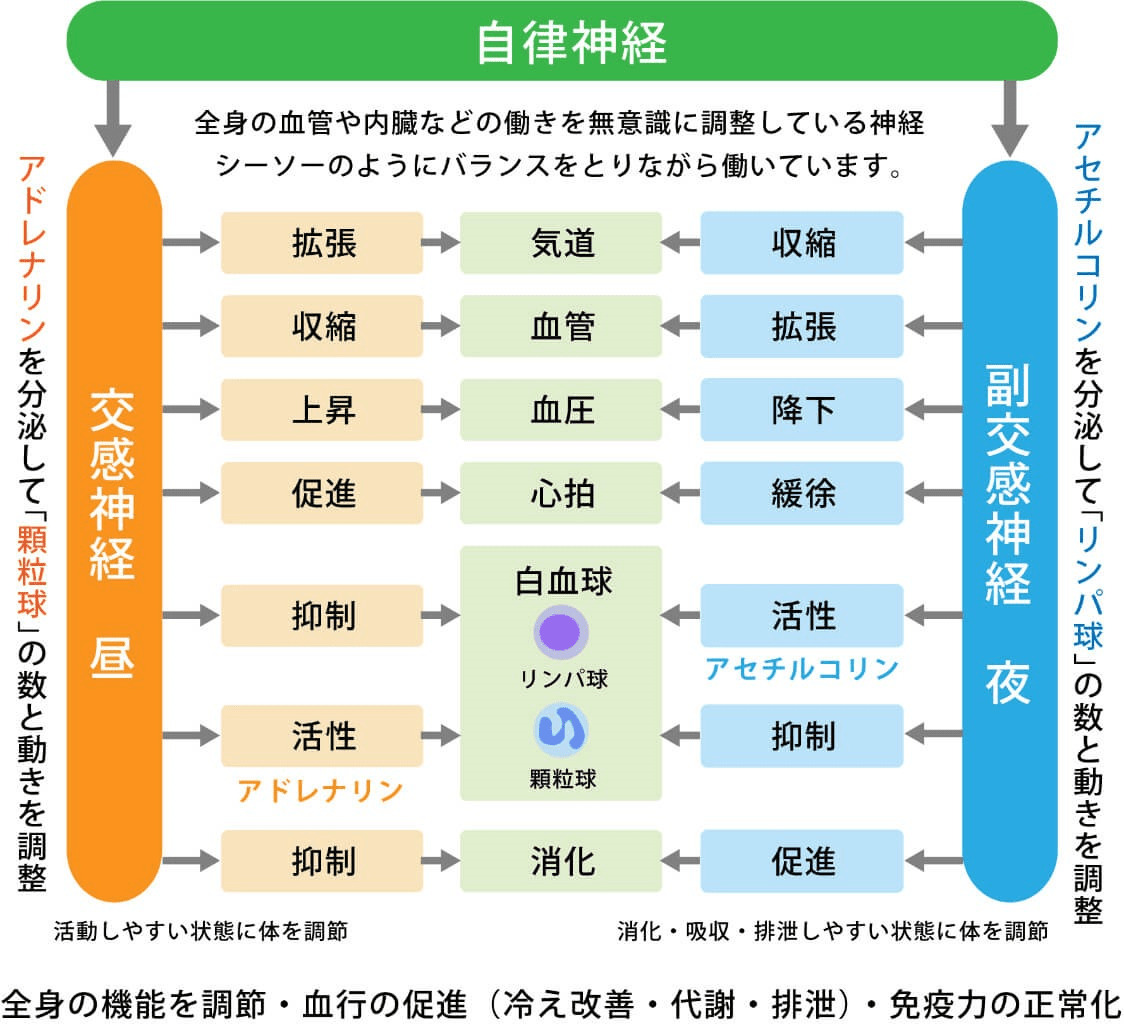 ひろせ治療院（習志野駅3分） | 自律神経専門の鍼灸整体院です。頭痛・めまい・首・肩の痛みはおまかせ！